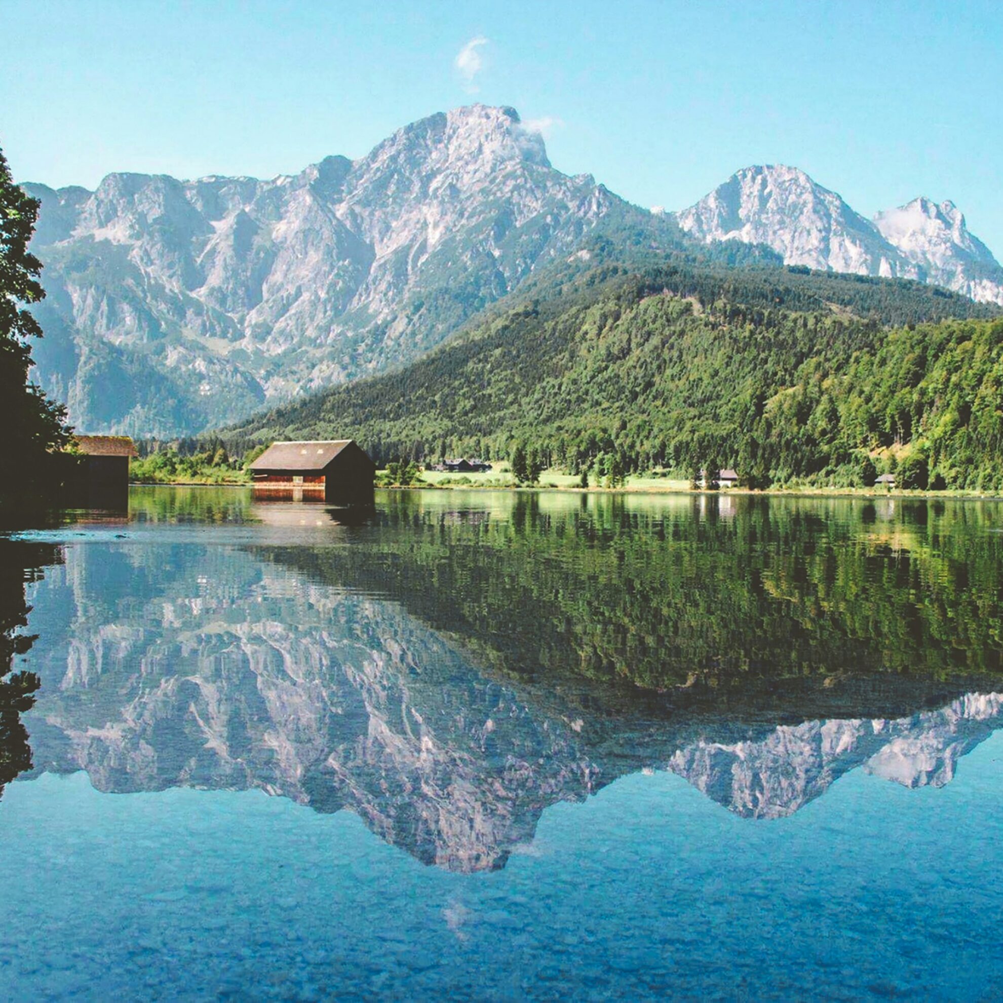 jakub-david--8JT7qjuM4A-unsplash