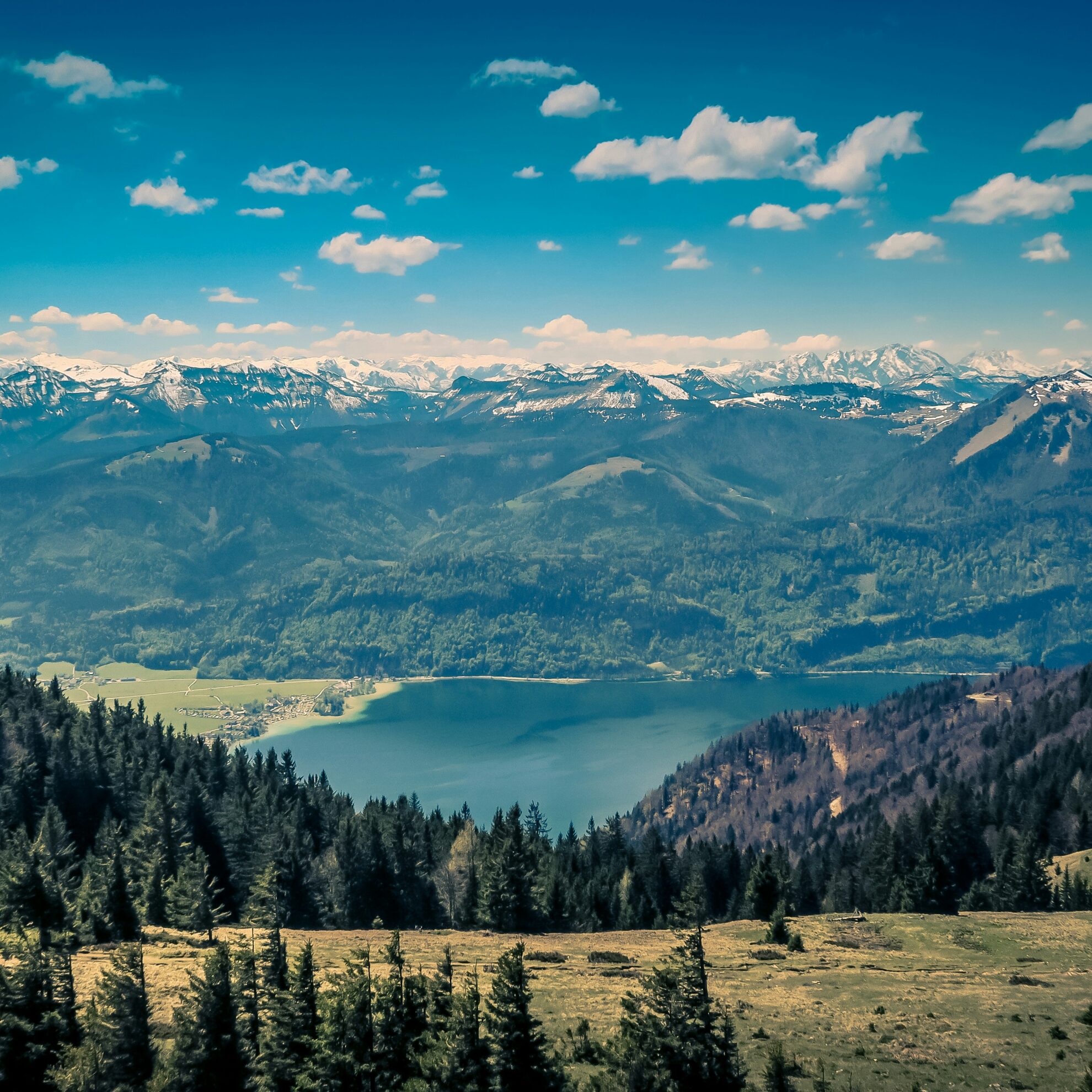 paul-pastourmatzis-hKOPVtGQZ4o-unsplash